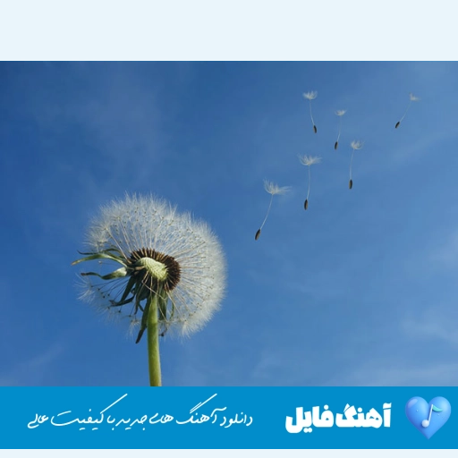 دانلود آهنگ تو که ناز دوست داری میخوای برات ناز کنم هوش مصنوعی ریمیکس اینستا